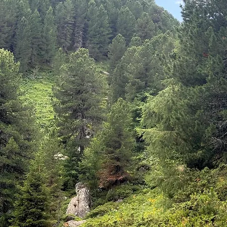 Сasa de vacaciones Haus Scheid *